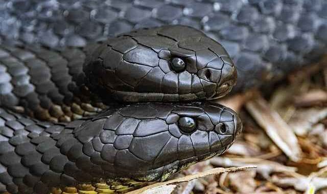 Co trzeba wiedzieć jadąc kamperem po Chorwacji – przepisy 2025